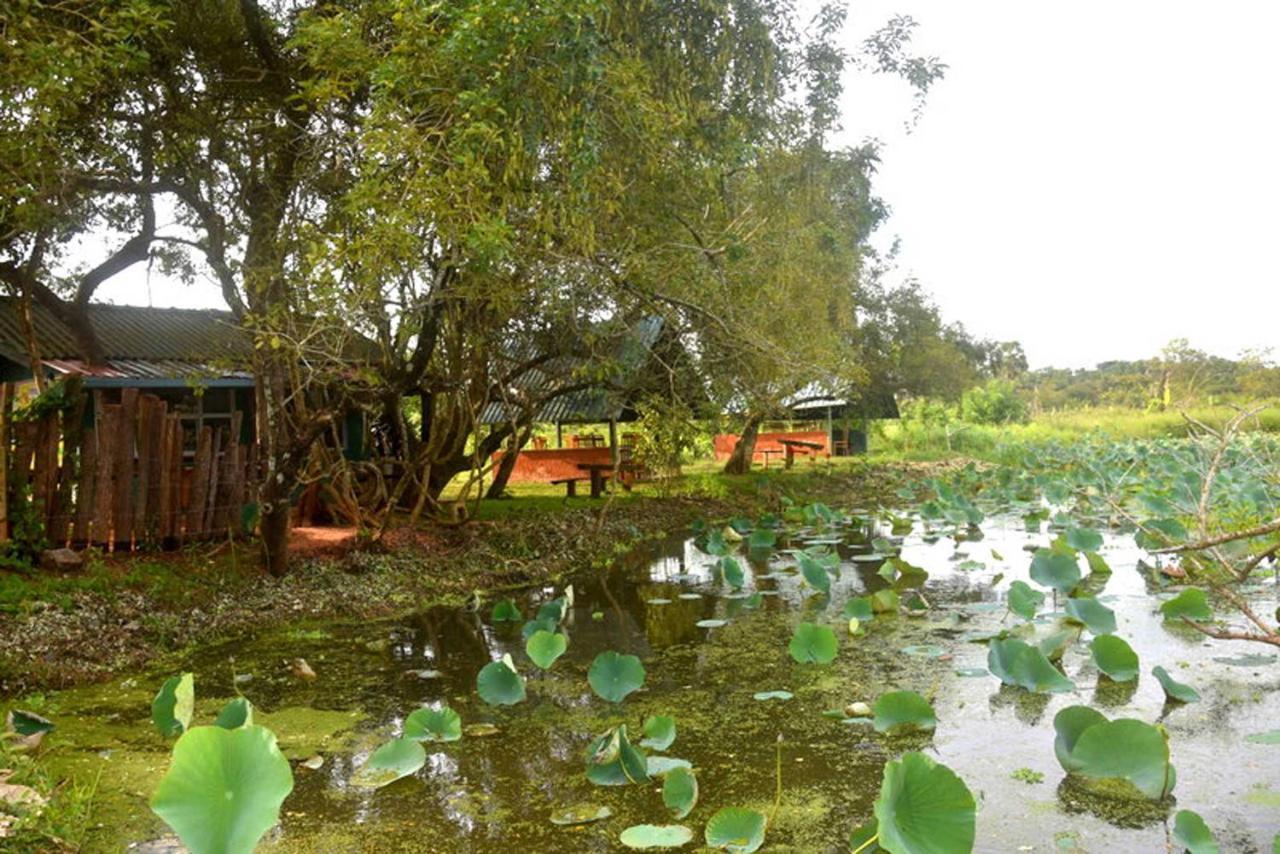 Meegahapokuna Resort Holambra Exterior foto