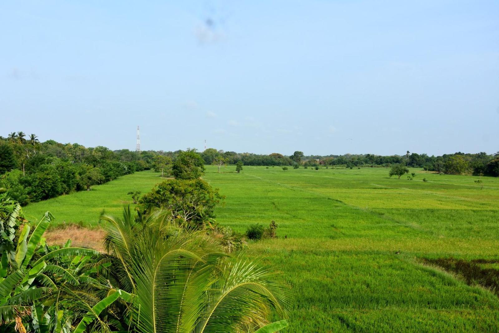 Meegahapokuna Resort Holambra Exterior foto