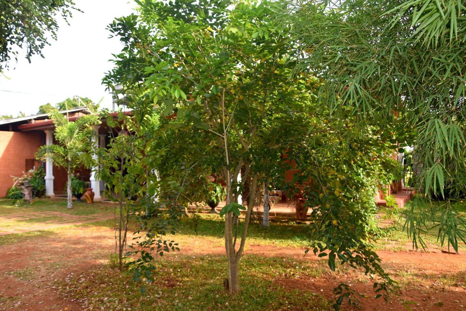 Meegahapokuna Resort Holambra Exterior foto