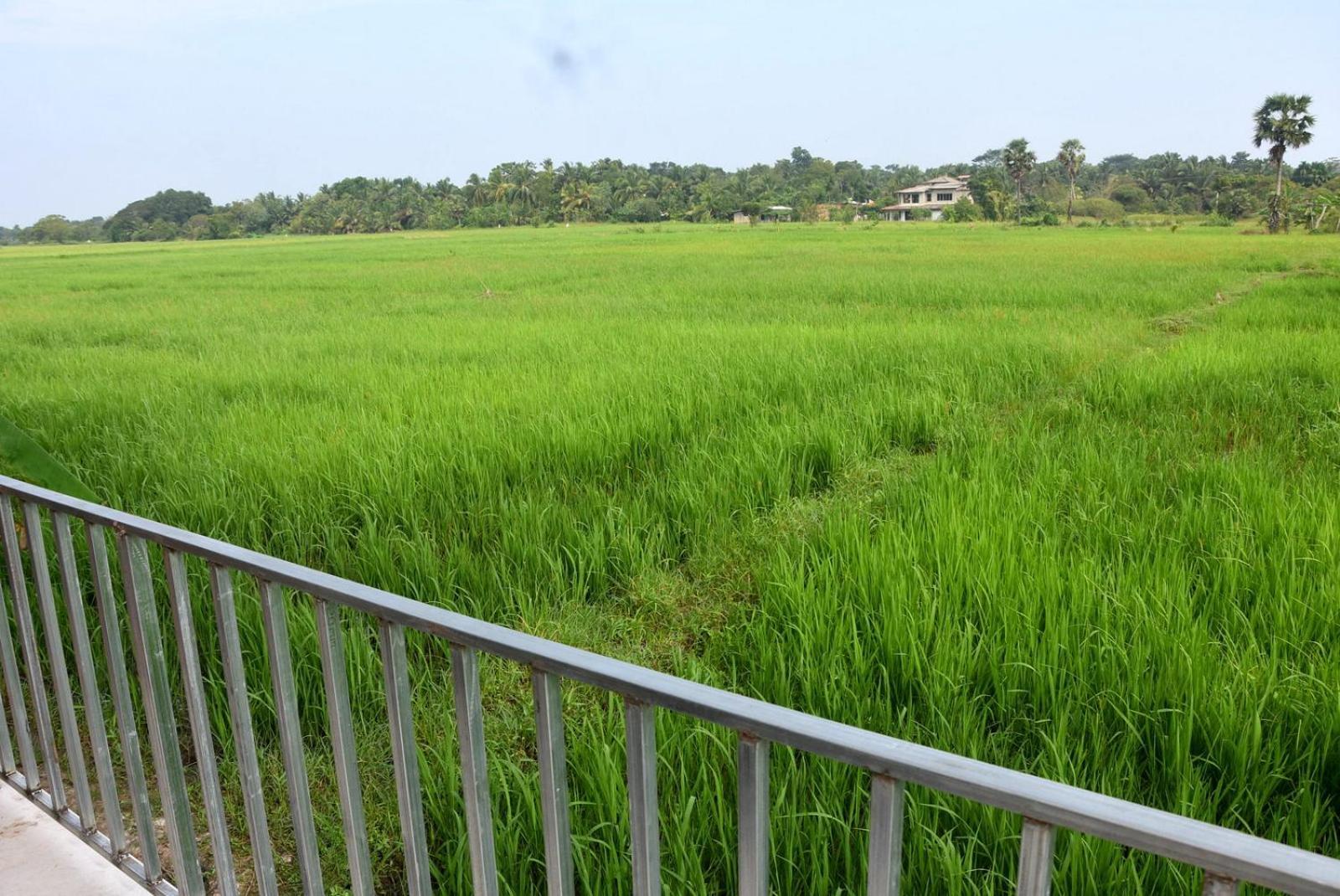 Meegahapokuna Resort Holambra Exterior foto